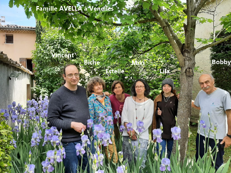 ZOOM : Robert Avella